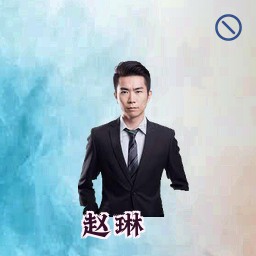 赵琳