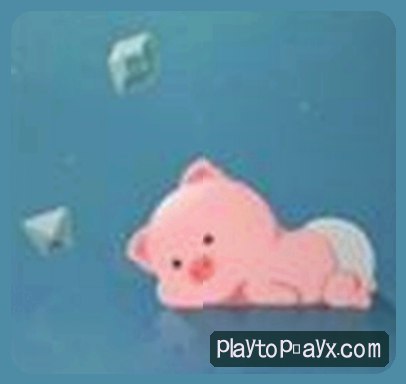 张磊