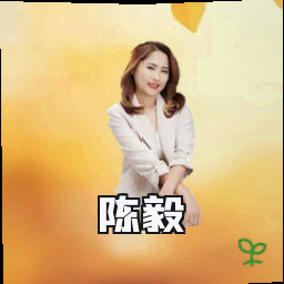 陈毅